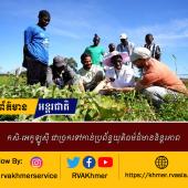 កសិ-អេកូឡូស៊ី ជាច្រកទៅកាន់ប្រព័ន្ធយុតិធម៌ដ៏មាននិន្តរភាព 